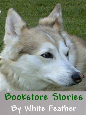 cover image of Bookstore Stories